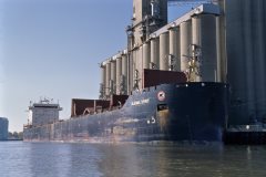 Thumbnail Image for Algoma Spirit