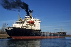 Thumbnail Image for Grigoriy Aleksandrov