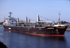 Thumbnail Image for Lamaria