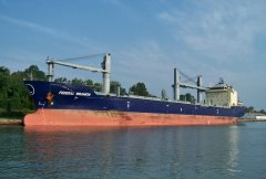 Thumbnail Image for Federal Miramichi
