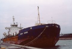 Thumbnail Image for Ocean Leader