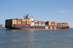 Thumbnail Image for MSC Aniello