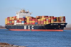 Thumbnail Image for MSC Aniello