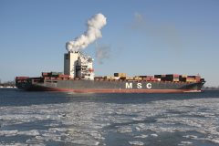 Thumbnail Image for MSC Anya