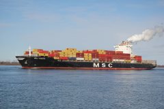 Thumbnail Image for MSC Tamara