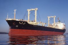 Thumbnail Image for Shinsei Maru