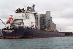 Thumbnail Image for Algoma Strongfield
