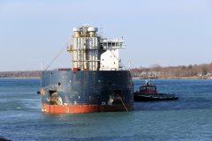 Thumbnail Image for Algoma Innovator