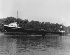 Image Thumbnail