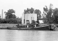 Thumbnail Image for America