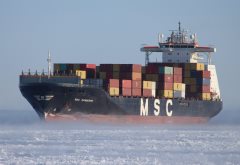 Thumbnail Image for MSC Canberra