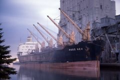 Thumbnail Image for Ross Sea oncontextmenu=