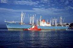 Thumbnail Image for Hague Maru