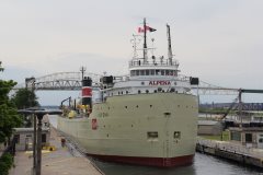 Thumbnail Image for Alpena