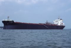 Thumbnail Image for CSL Atlas