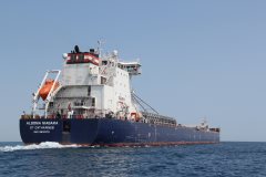 Thumbnail Image for Algoma Niagara