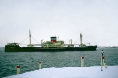 Thumbnail Image for Marina