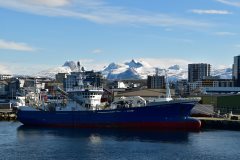Thumbnail Image for Nordfisk
