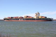 Thumbnail Image for MSC Freeport