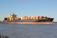 Thumbnail Image for MSC Manzanillo