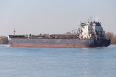 Thumbnail Image for Algoma Niagara oncontextmenu=