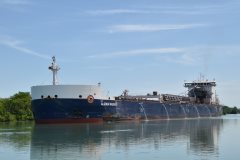 Thumbnail Image for Algoma Niagara oncontextmenu=