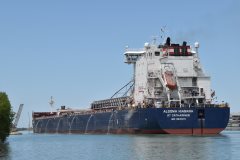 Thumbnail Image for Algoma Niagara oncontextmenu=