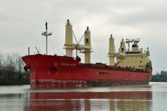 Thumbnail Image for Federal Clyde