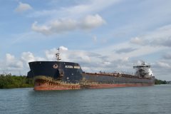 Thumbnail Image for Algoma Mariner oncontextmenu=