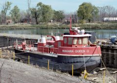 Thumbnail Image for Niagara Queen II