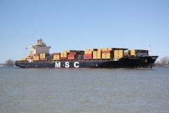 Thumbnail Image for MSC Sines R