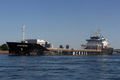 Thumbnail Image for Blair McKiel