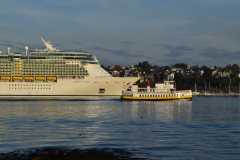 Thumbnail Image for Aucocisco III