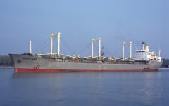 Thumbnail Image for Forestland