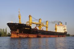 Thumbnail Image for Winter Star oncontextmenu=