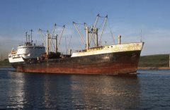 Thumbnail Image for Kingdoc oncontextmenu=