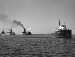 Thumbnail Image for Harry L Findlay