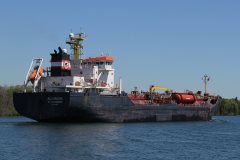 Thumbnail Image for Algonova