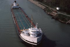 Thumbnail Image for Judith M Pierson