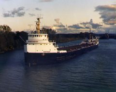 Thumbnail Image for Mantadoc