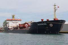 Thumbnail Image for Algonova oncontextmenu=