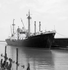 Thumbnail Image for Rheinstein.