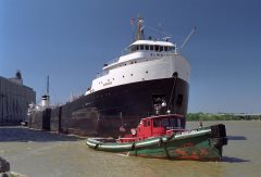 Thumbnail Image for elmglen