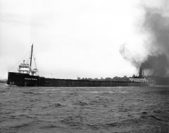 Thumbnail Image for Philip Minch