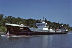 Thumbnail Image for Congar