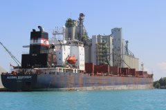 Thumbnail Image for Algoma Discovery