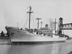 Thumbnail Image for Anna Presthus