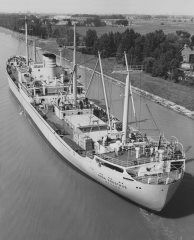 Thumbnail Image for Anna Presthus