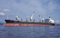 Thumbnail Image for Western Condor oncontextmenu=