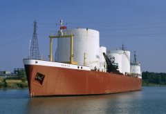 Thumbnail Image for Woodland